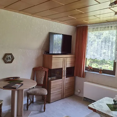 בית נופש Finnhuette