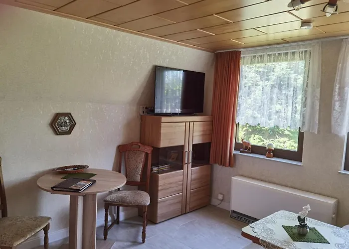 Holiday home Finnhuette